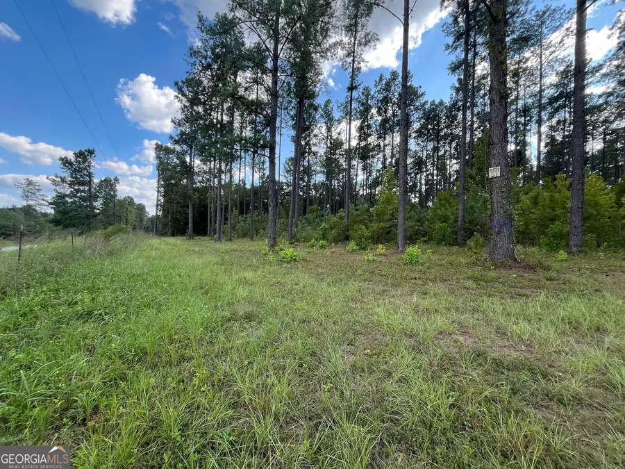 0 Mark Wood Rd. Lot 3, Dexter, GA 31019 - #2