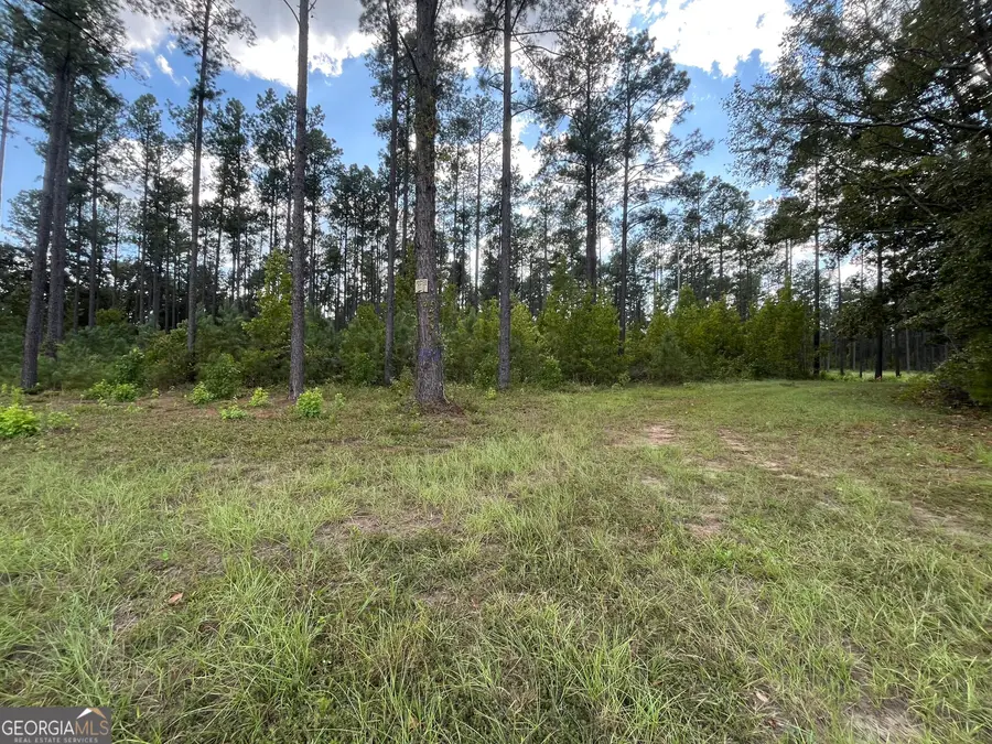 0 Mark Wood Rd. Lot 3, Dexter, GA 31019 - #3