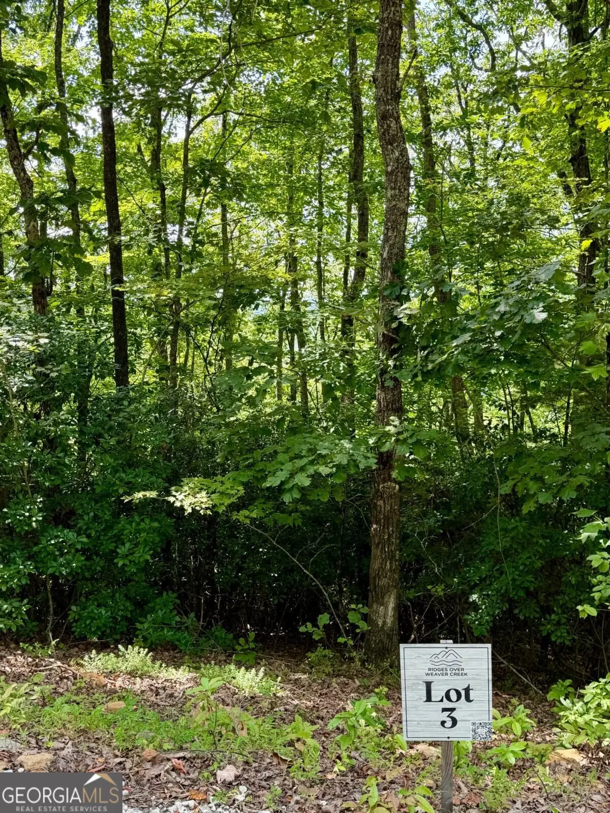 LOT 3 Blue Horizon Drive, Blue Ridge, GA 30513 - #1
