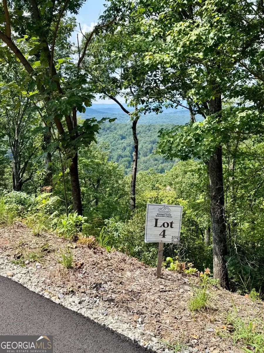 LOT 3 Blue Horizon Drive, Blue Ridge, GA 30513 - #2