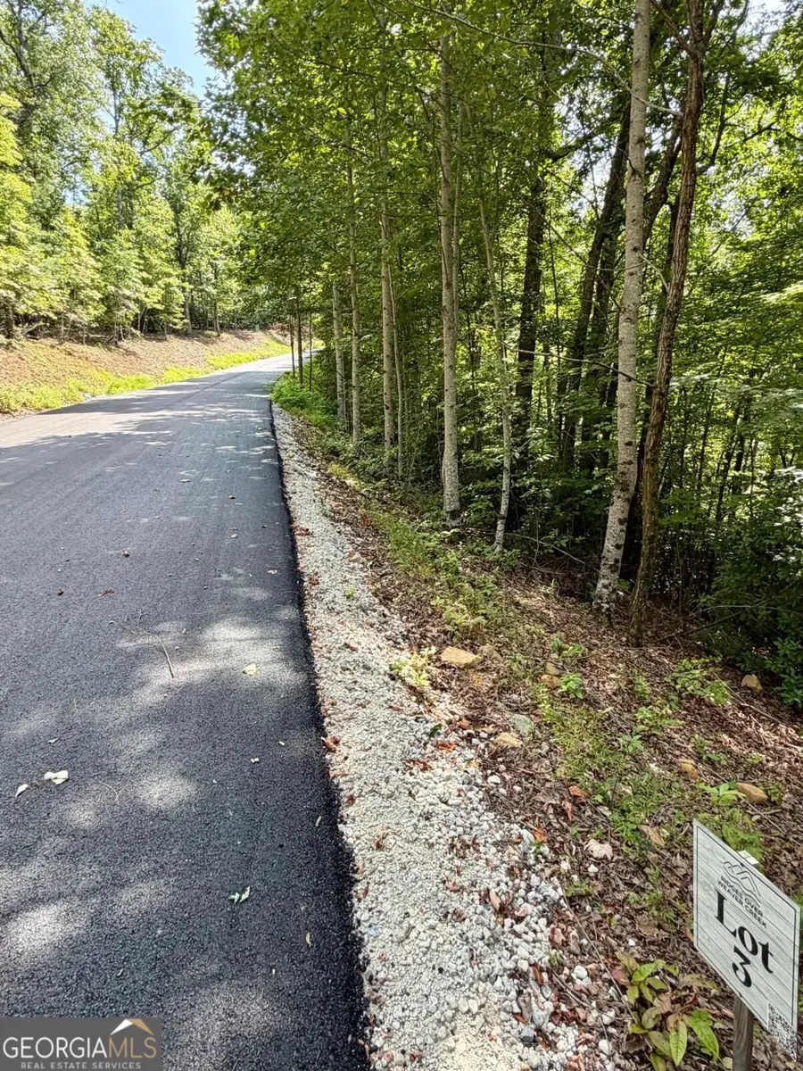 LOT 3 Blue Horizon Drive, Blue Ridge, GA 30513 - #3