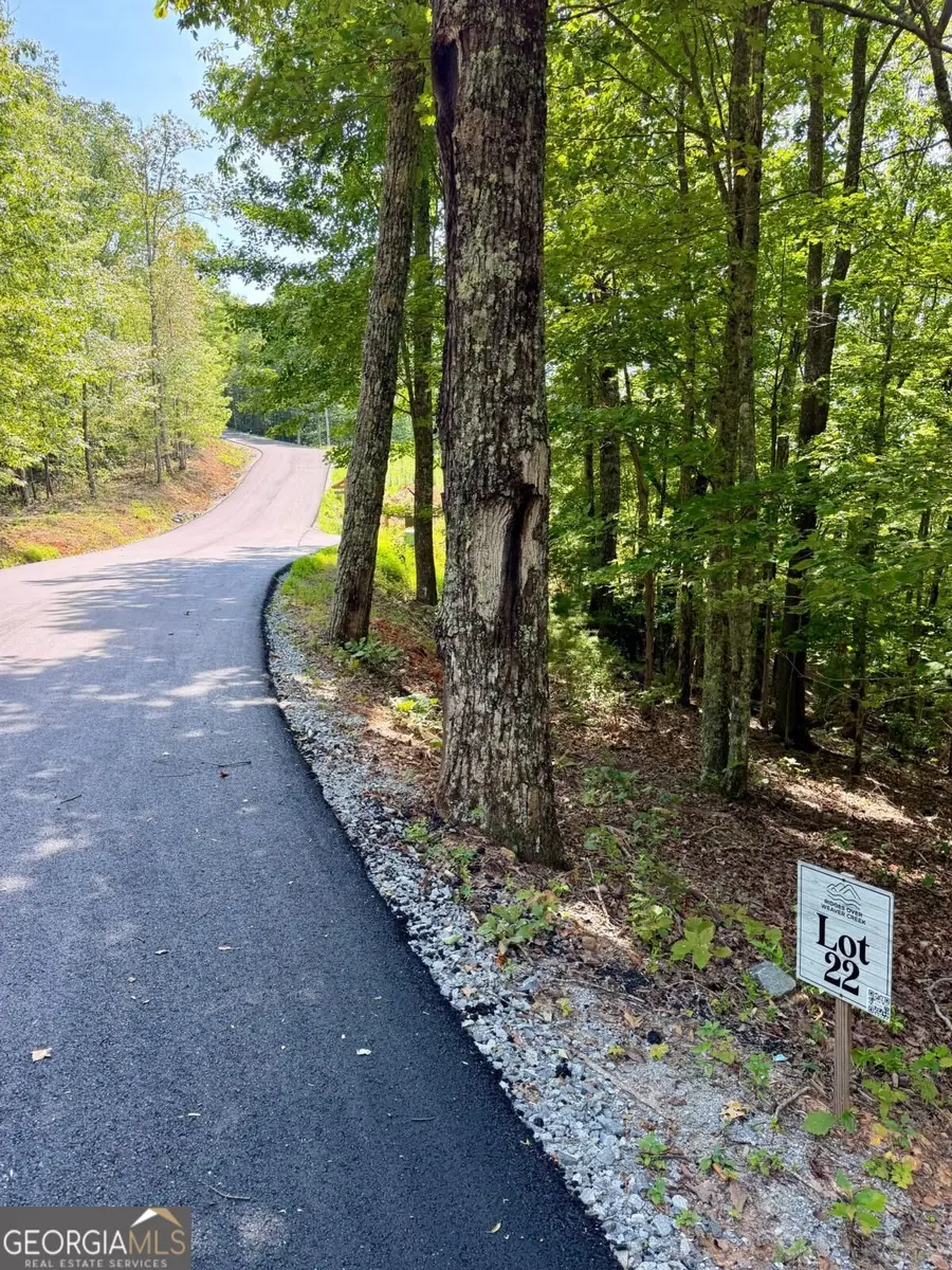 LOT 22 Blue Horizon Drive, Blue Ridge, GA 30513 - #3
