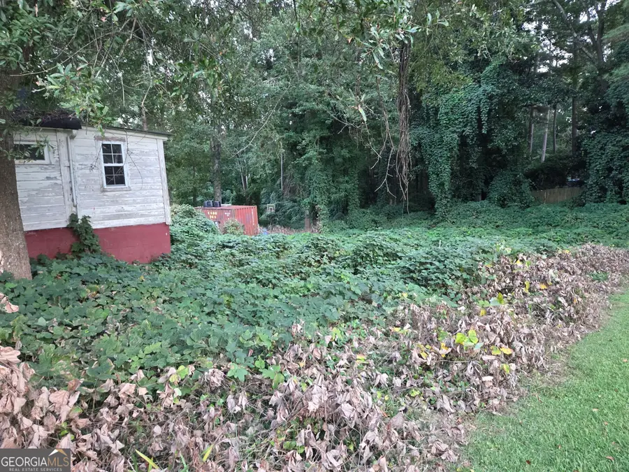 206 Edwards Street, Bremen, GA 30110 - #3