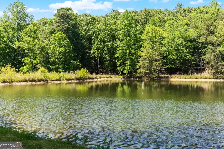 85 Misty Hollow Ridge, Ellijay, GA 30536 - #3