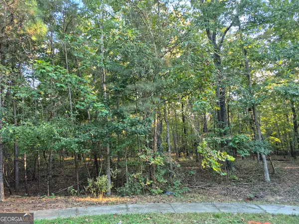 3407 Venice Court, Douglasville, GA 30135