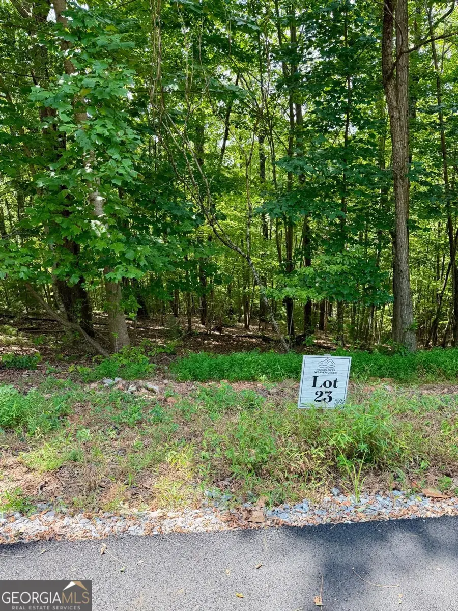 LOT 23 Blue Horizon Drive, Blue Ridge, GA 30513 - #3