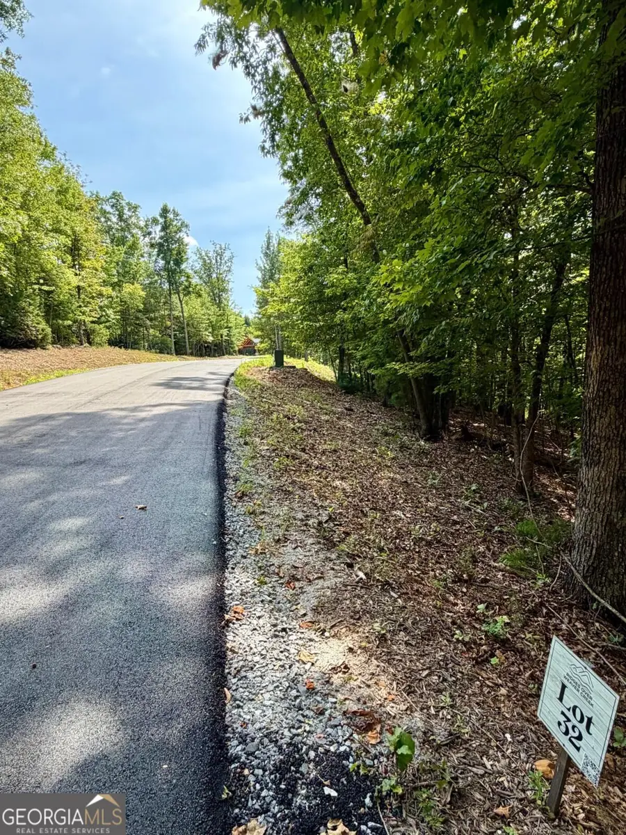 LOT 32 Blue Horizon Drive, Blue Ridge, GA 30513 - #2