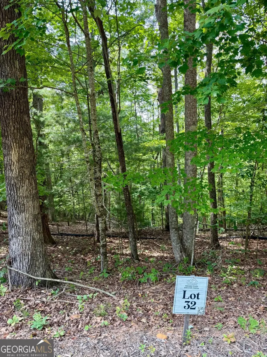 LOT 32 Blue Horizon Drive, Blue Ridge, GA 30513 - #3