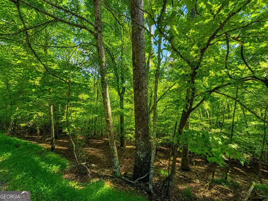 LT 1012 Gateway Drive, Ellijay, GA 30540 - #2