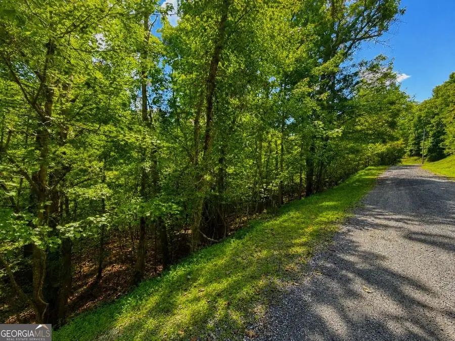 LT 1012 Gateway Drive, Ellijay, GA 30540 - #3
