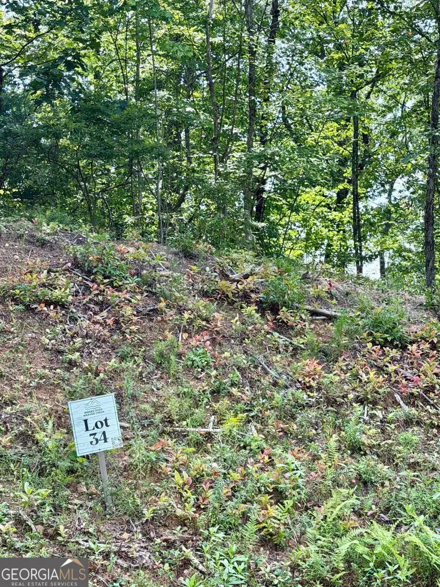 LOT 34 Blue Horizon Drive, Blue Ridge, GA 30513 - #2