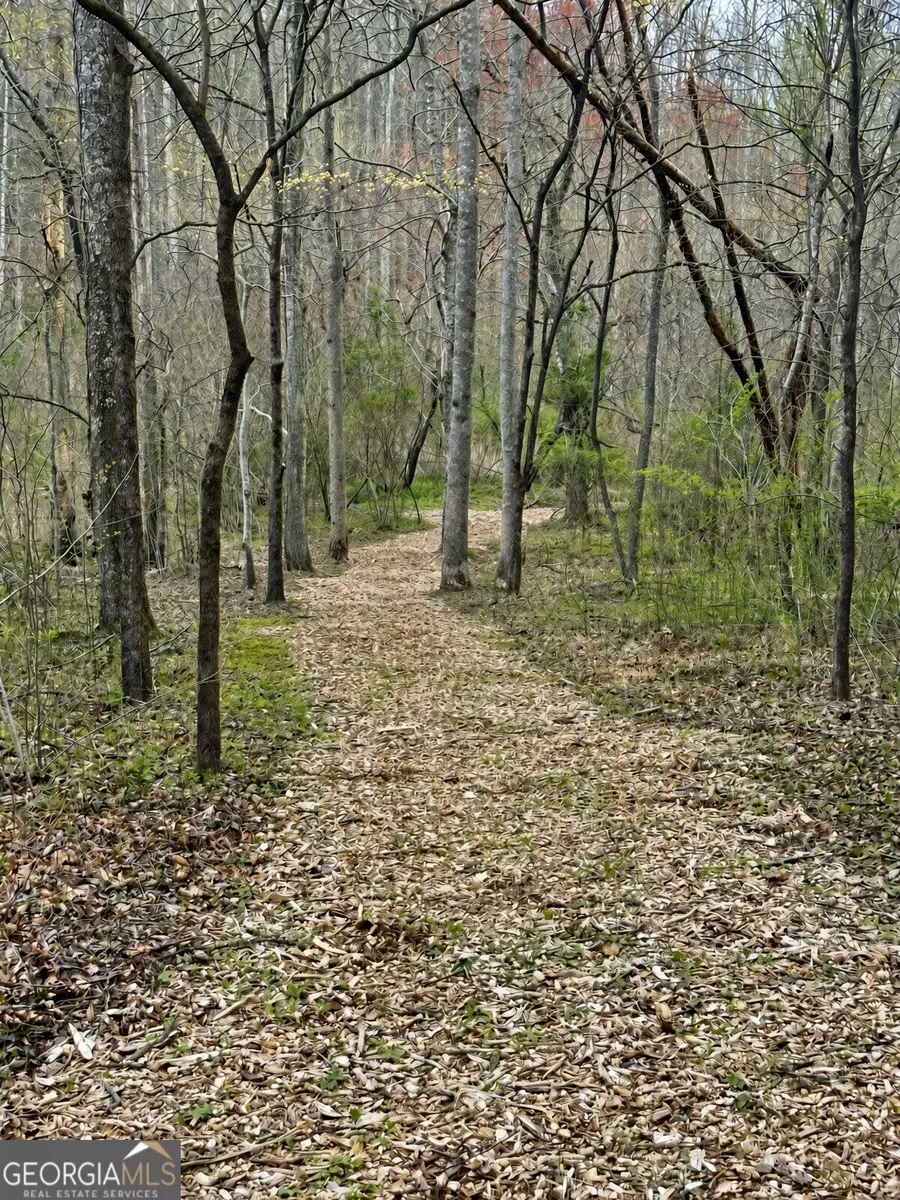 LOT 34 Blue Horizon Drive, Blue Ridge, GA 30513 - #3