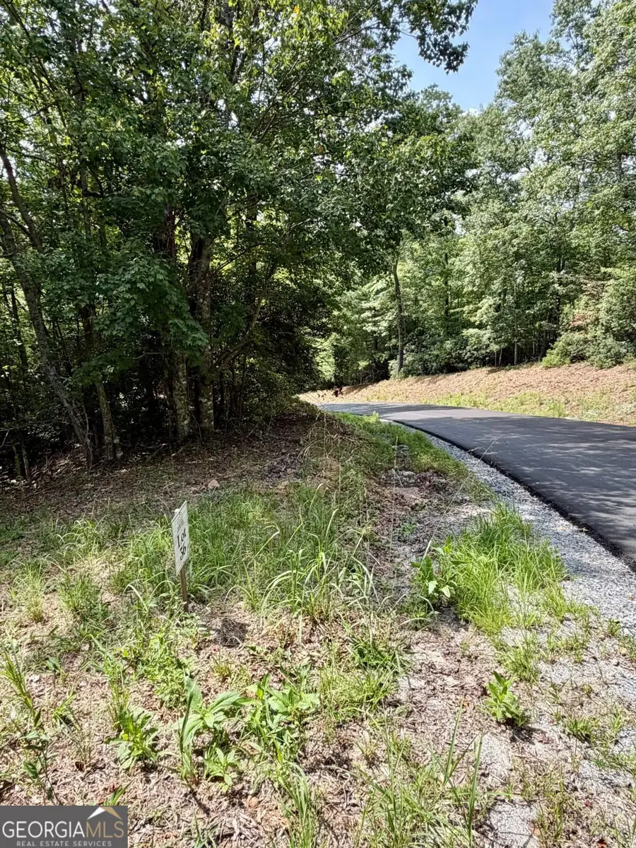 LOT 36 Blue Horizon Drive, Blue Ridge, GA 30513 - #2