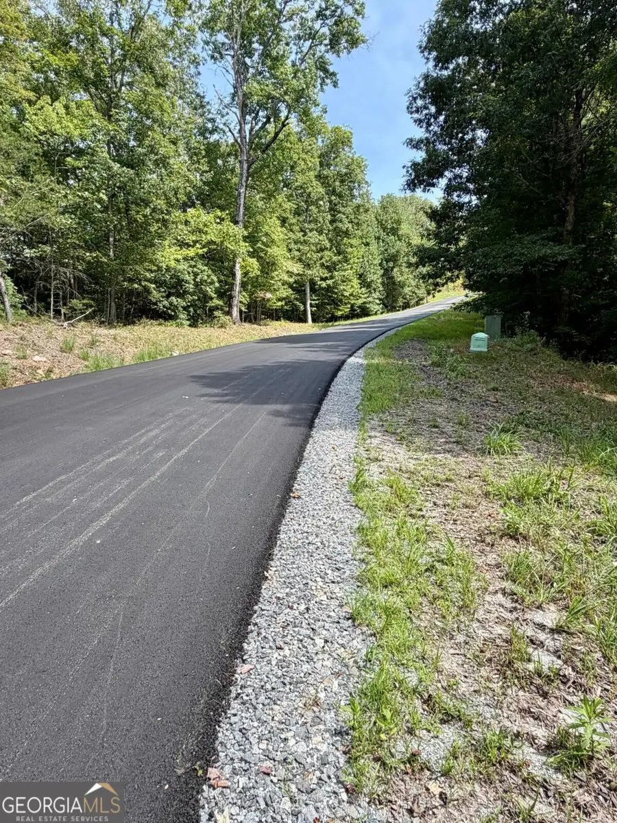 LOT 36 Blue Horizon Drive, Blue Ridge, GA 30513 - #3
