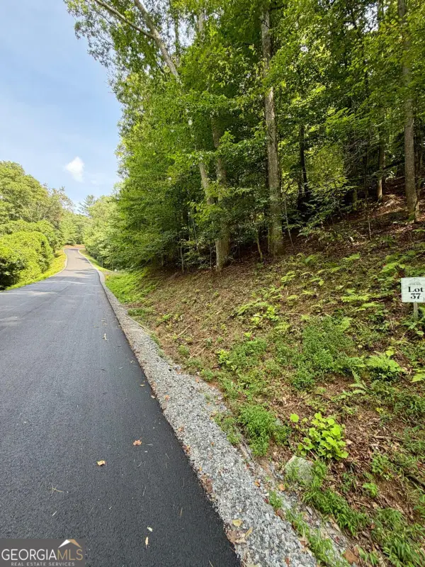 LOT 37 Blue Horizon Drive, Blue Ridge, GA 30513