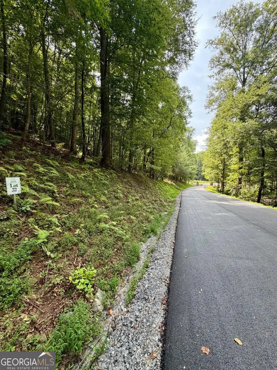 LOT 37 Blue Horizon Drive, Blue Ridge, GA 30513 - #2
