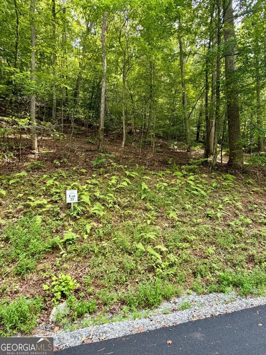 LOT 37 Blue Horizon Drive, Blue Ridge, GA 30513 - #3