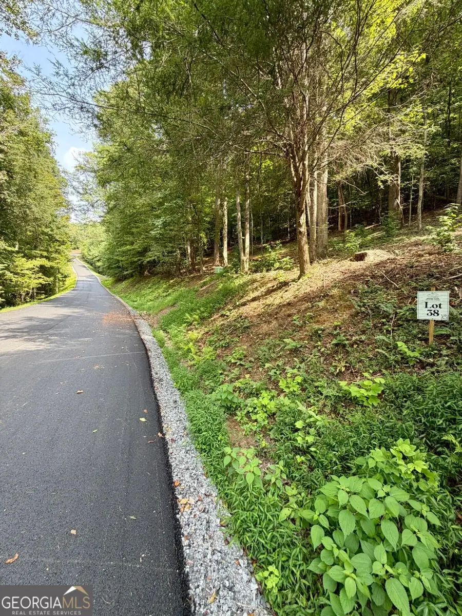 LOT 38 Blue Horizon Drive, Blue Ridge, GA 30513 - #2
