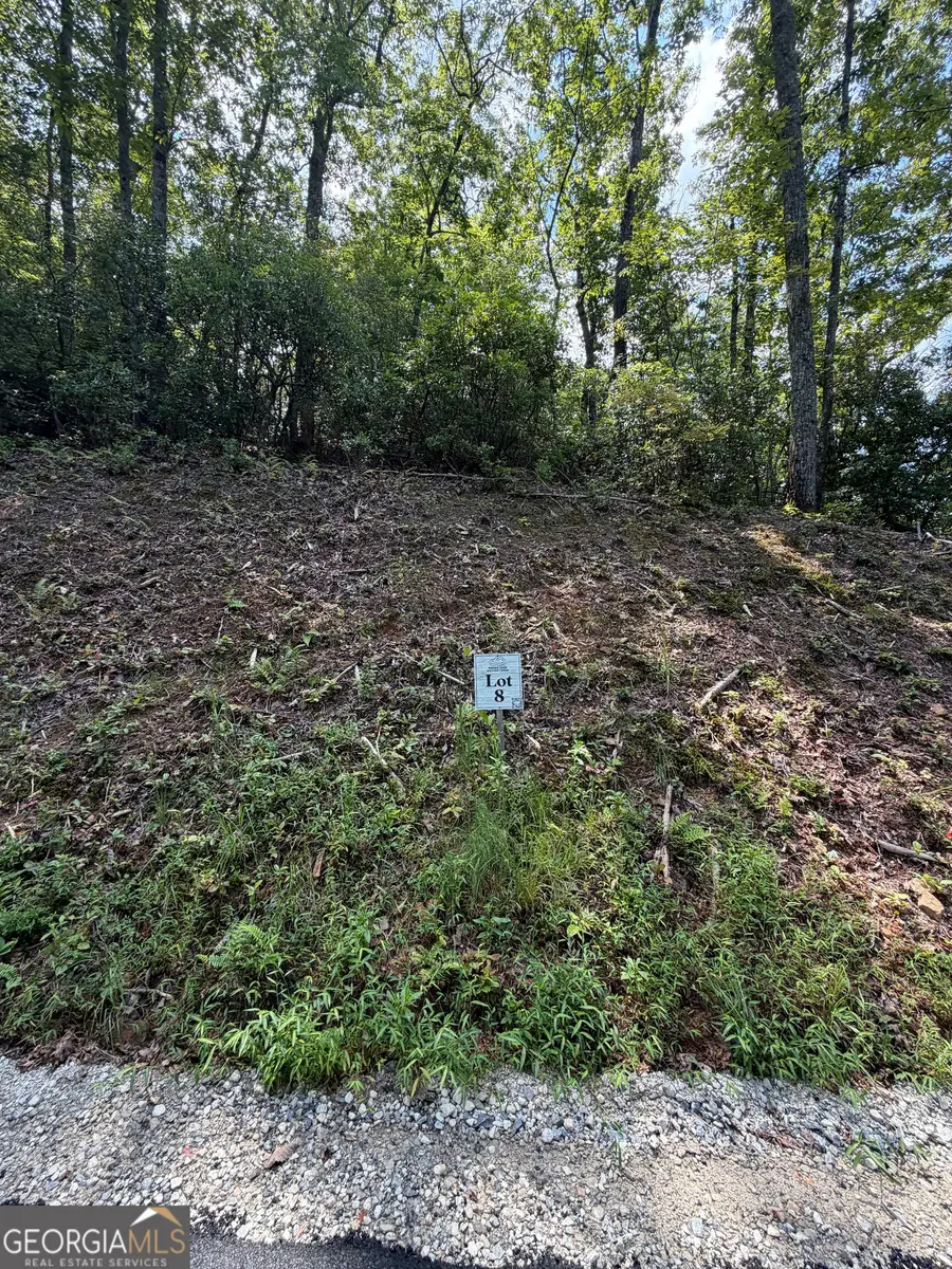 LOT 8 Sapphire Ridge, Blue Ridge, GA 30513 - #3
