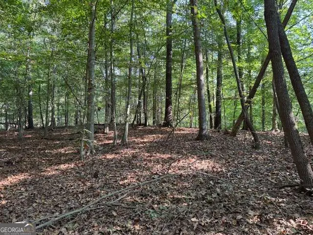 340 Jesse Martin Trail, Canton, GA 30115 - #3