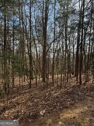 0 Scarlett Pippin Lane #1604, Clarkesville, GA 30523 - #2