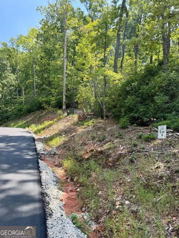 LOT 9 Sapphire Ridge, Blue Ridge, GA 30513