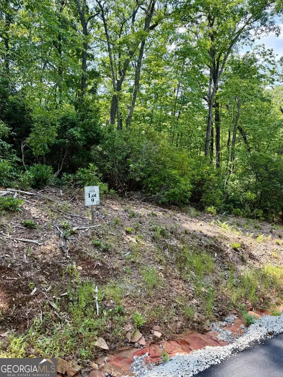 LOT 9 Sapphire Ridge, Blue Ridge, GA 30513 - #2