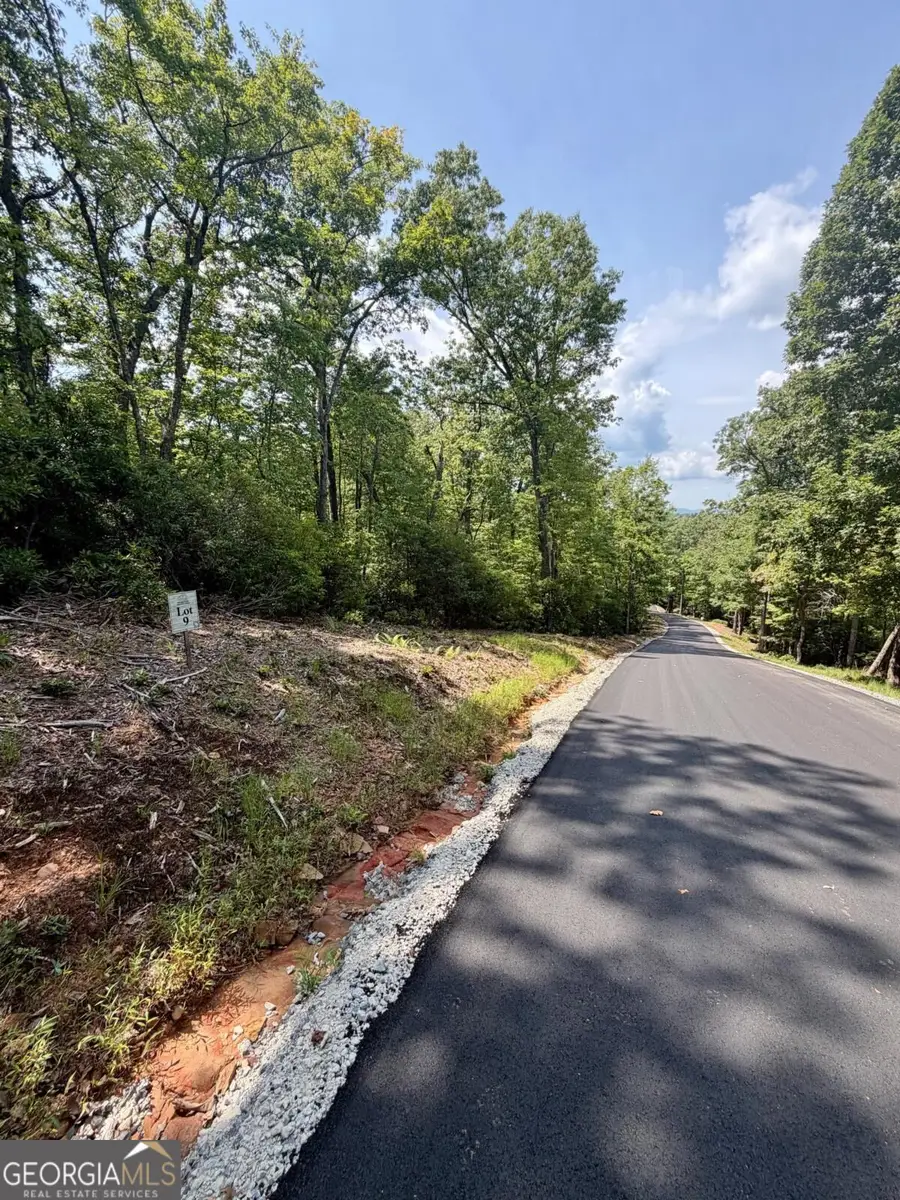 LOT 9 Sapphire Ridge, Blue Ridge, GA 30513 - #3