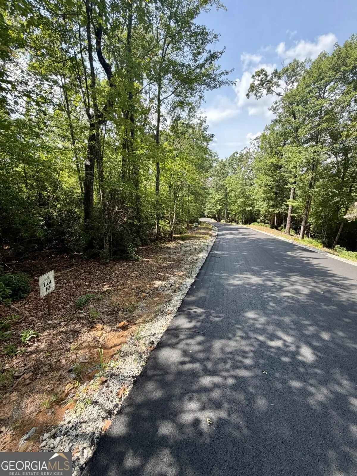 LOT 10 Sapphire Ridge, Blue Ridge, GA 30513 - #1