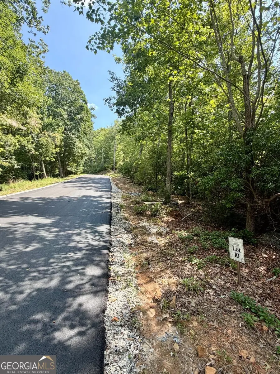 LOT 10 Sapphire Ridge, Blue Ridge, GA 30513 - #2