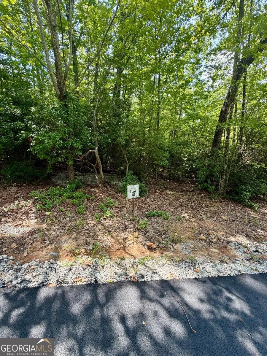 LOT 10 Sapphire Ridge, Blue Ridge, GA 30513 - #3