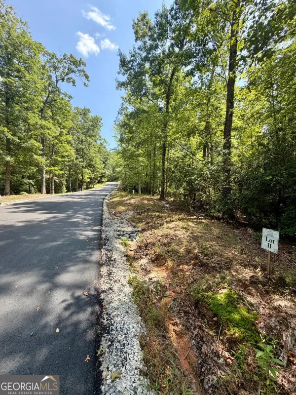 LOT 11 Sapphire Ridge, Blue Ridge, GA 30513