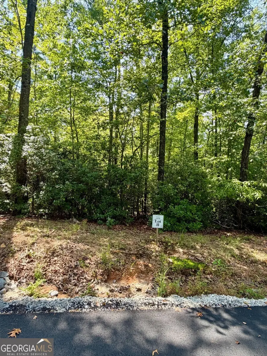 LOT 11 Sapphire Ridge, Blue Ridge, GA 30513 - #2