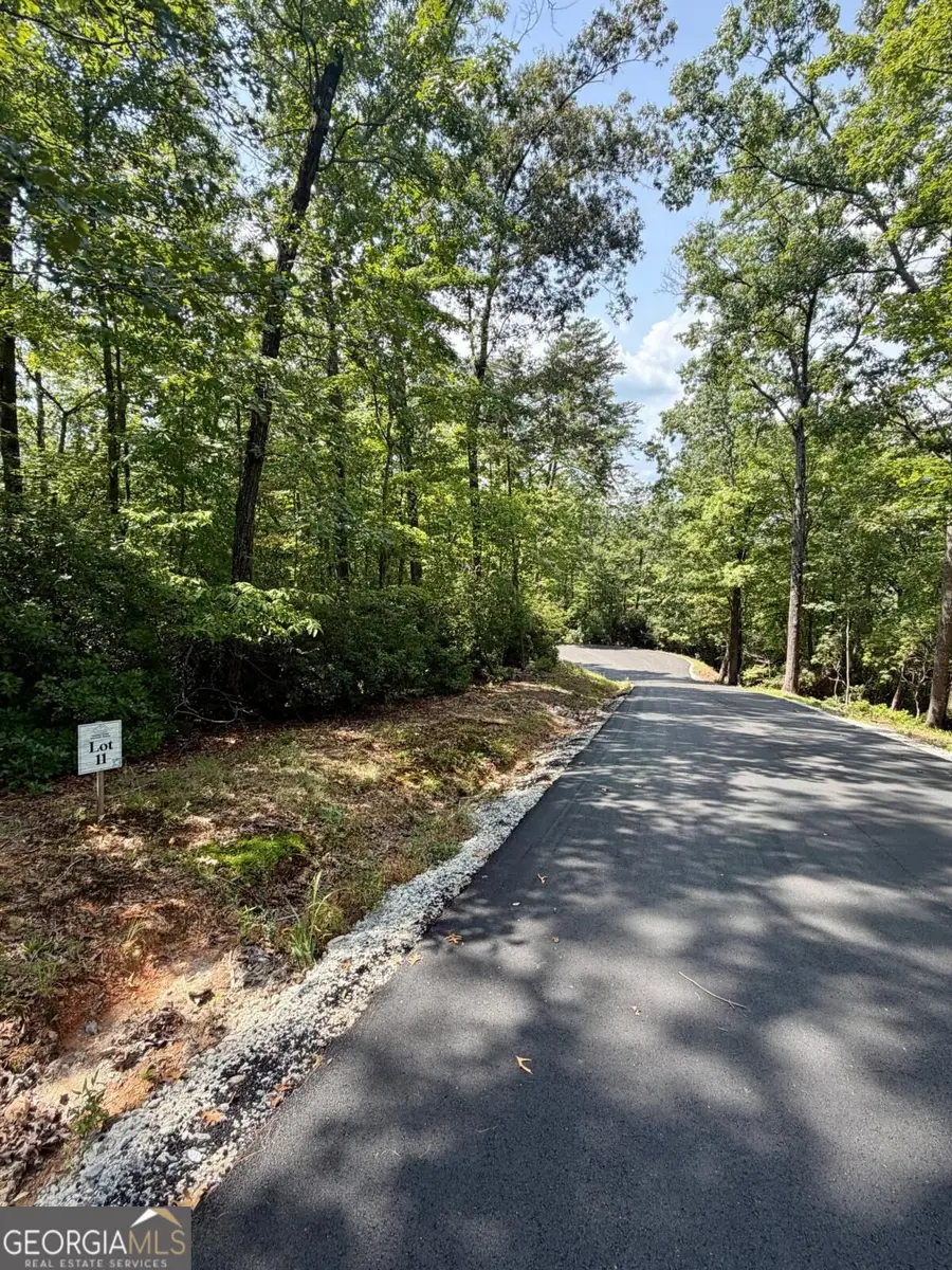 LOT 11 Sapphire Ridge, Blue Ridge, GA 30513 - #3