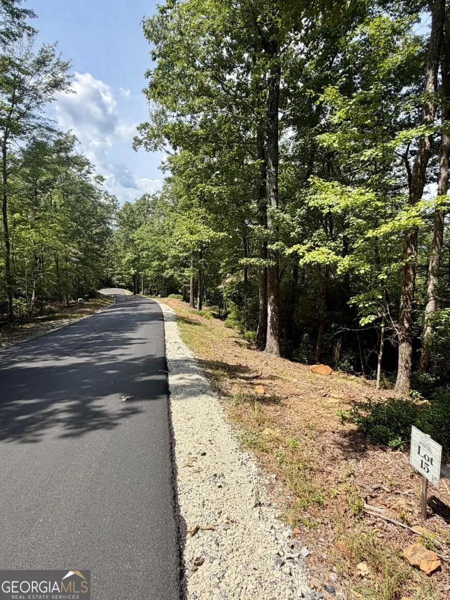 LOT 15 Sapphire Ridge, Blue Ridge, GA 30513 - #2