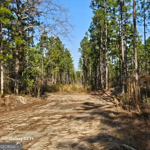 0 Mill Branch Club Lot 1r Road, Nevils, GA 31321