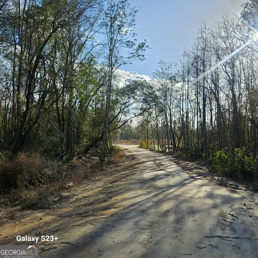 0 Mill Branch Club Lot 1r Road, Nevils, GA 31321 - #3