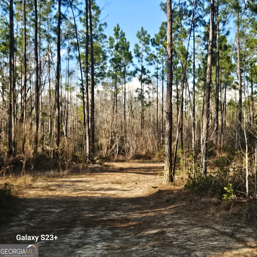 0 Mill Branch Club Road Lot 1p, Pembroke, GA 31321 - #3