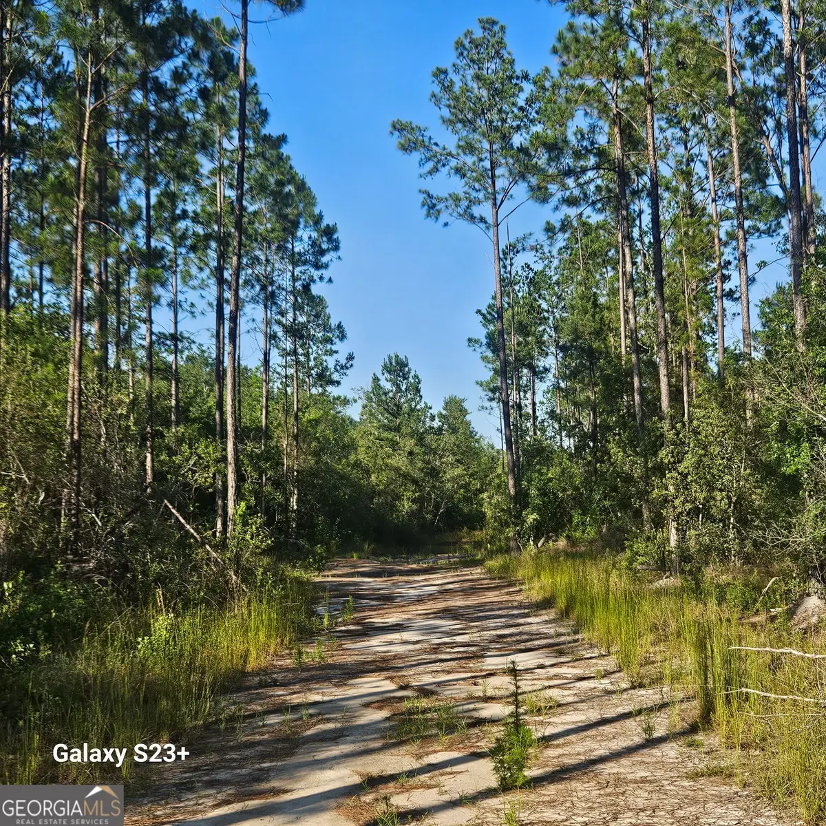 0 Mill Branch Club Road Lot 1q, Pembroke, GA 31321 - #1