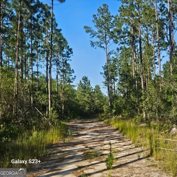 0 Mill Branch Club Road Lot 1q, Pembroke, GA 31321