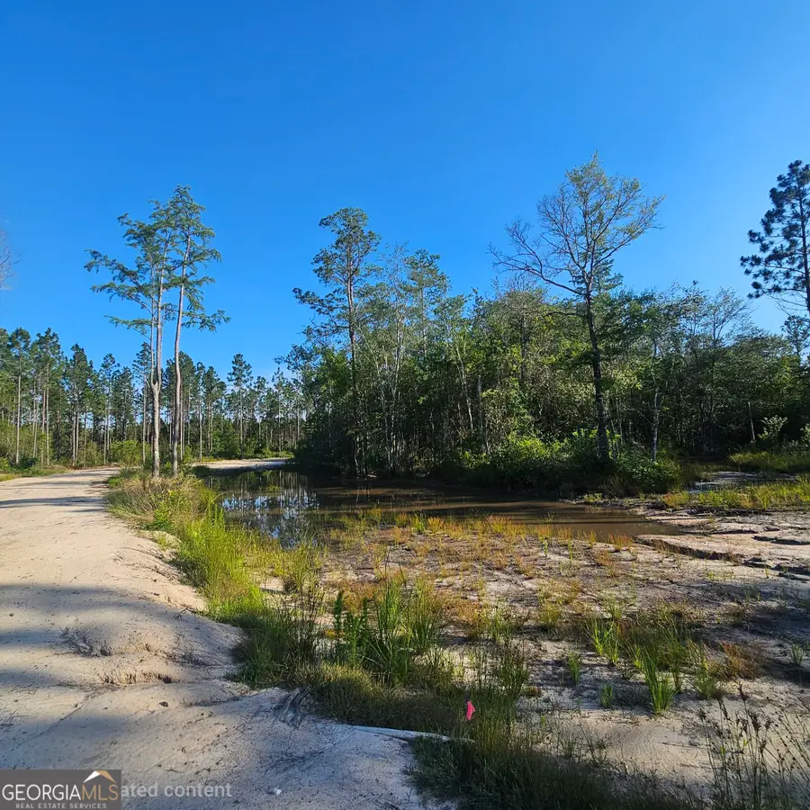 0 Mill Branch Club Road Lot 1n, Nevils, GA 31321 - #2