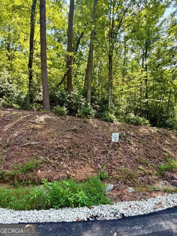 LOT 12 Sapphire Ridge, Blue Ridge, GA 30513