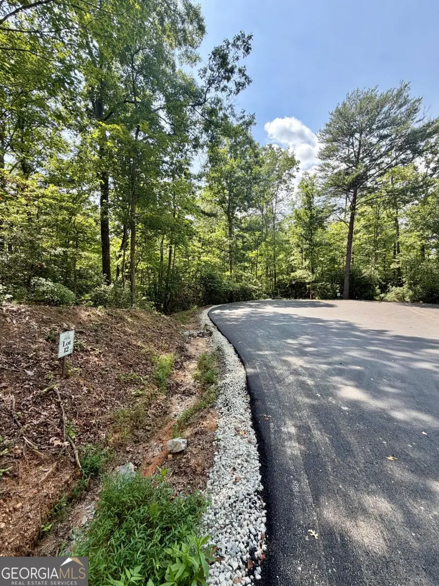 LOT 12 Sapphire Ridge, Blue Ridge, GA 30513 - #3