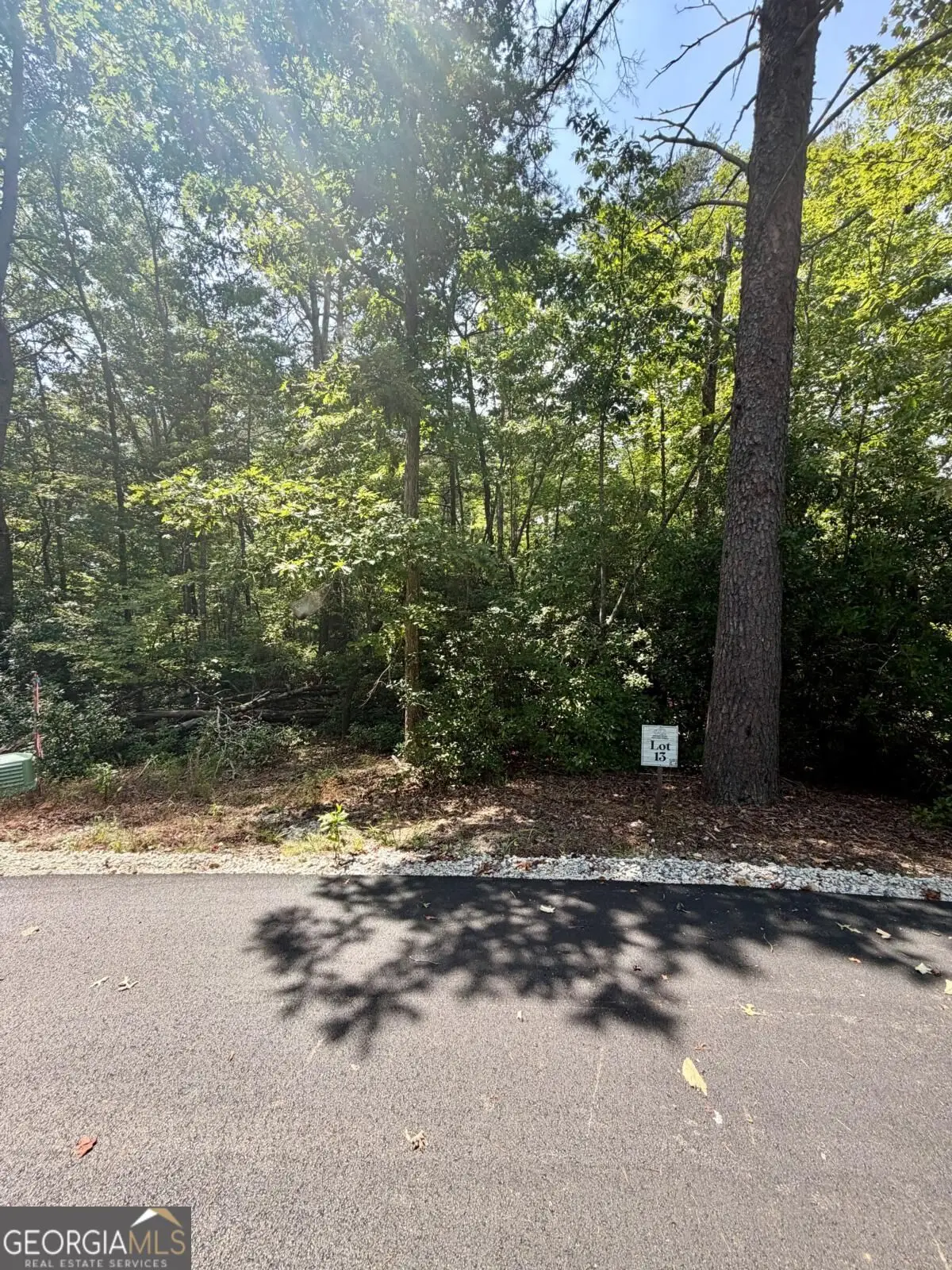 LOT 13 Sapphire Ridge, Blue Ridge, GA 30513 - #1