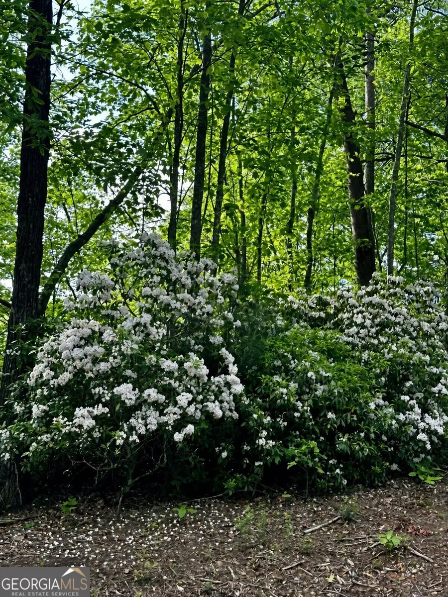 LOT 13 Sapphire Ridge, Blue Ridge, GA 30513 - #3