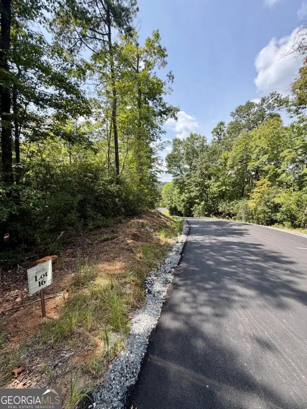 LOT 16 Turquoise Ridge, Blue Ridge, GA 30513