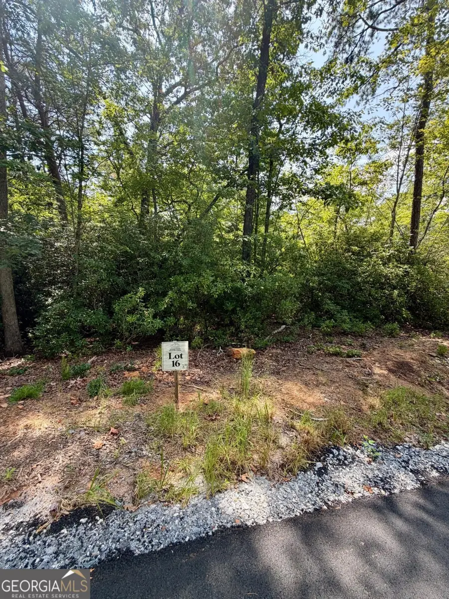 LOT 16 Turquoise Ridge, Blue Ridge, GA 30513 - #2