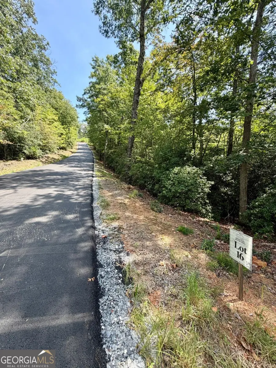 LOT 16 Turquoise Ridge, Blue Ridge, GA 30513 - #3