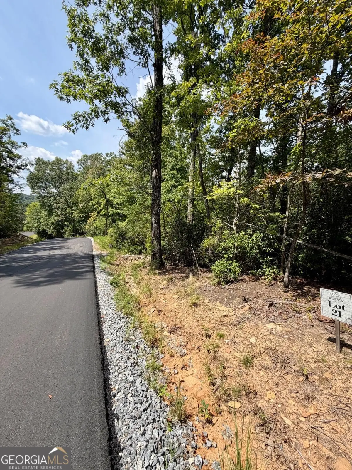 LOT 21 Turquoise Ridge, Blue Ridge, GA 30513 - #1