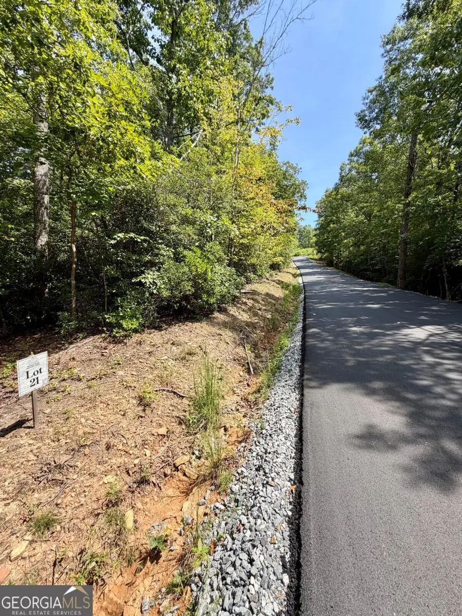 LOT 21 Turquoise Ridge, Blue Ridge, GA 30513 - #2